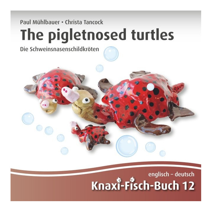 The pigletnosed turtles | Die Schweinsnasenschildkröten The pigletnosed turtles | Die Schweinsnasenschildkröten
